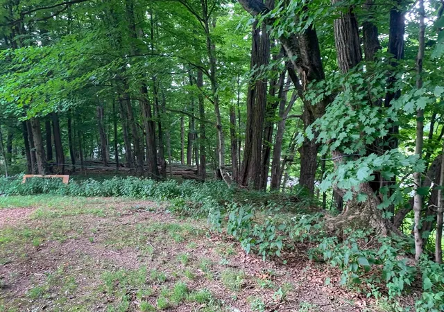 Photo 2 of Land for sale at 0 Chestnut Plain Rd (ws), Whately, MA 01093 | MLS# 73567432 | Listing updated on 2026-08-28