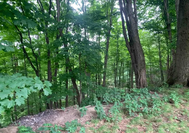 Photo 3 of Land for sale at 0 Chestnut Plain Rd (ws), Whately, MA 01093 | MLS# 73567432 | Listing updated on 2026-08-28
