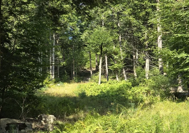 Homes for sale in Stamford, VT | 0 Magee Rd, Stamford, VT 05352 | MLS# 73504013