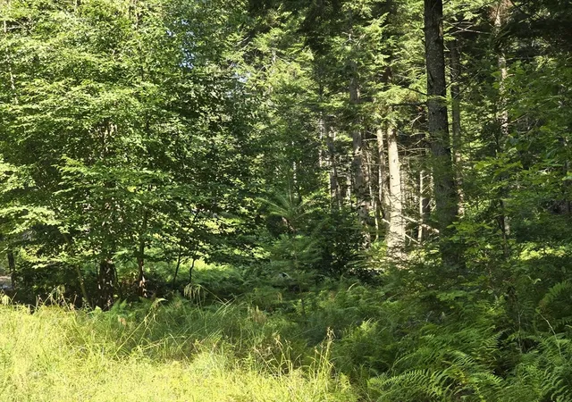 Homes for sale in Stamford, VT | 0 Magee Rd, Stamford, VT 05352 | MLS# 73504013