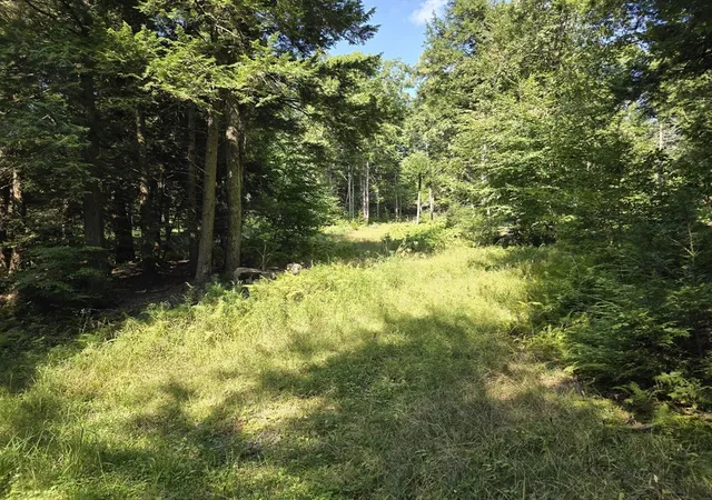 Homes for sale in Stamford, VT | 0 Magee Rd, Stamford, VT 05352 | MLS# 73504013