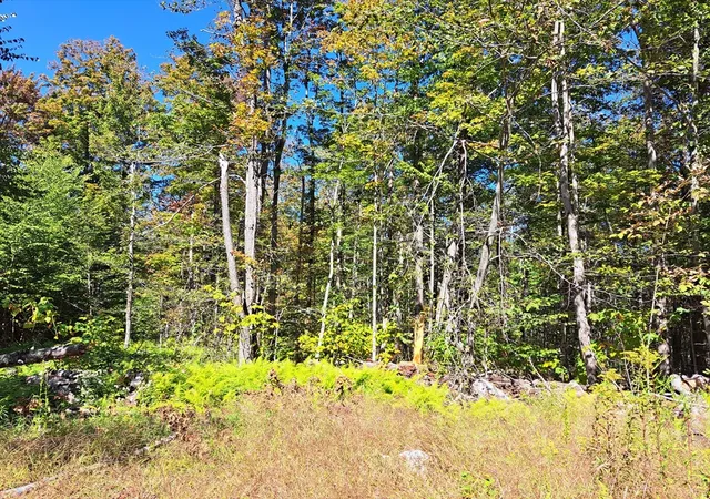 Homes for sale in Blandford, MA | Lot "b" Beulah Land Rd, Blandford, MA 01008 | MLS# 73519849