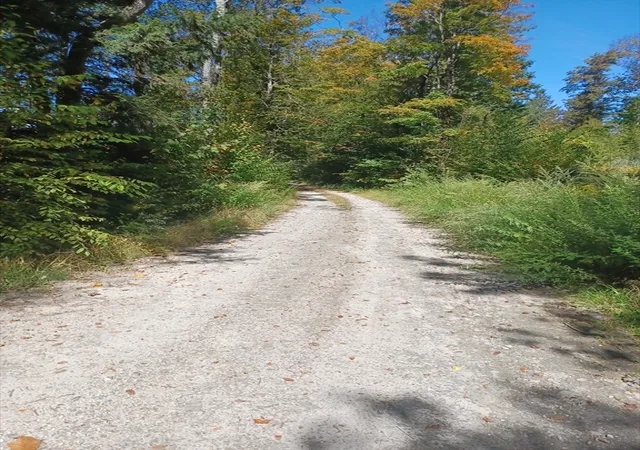 Homes for sale in Blandford, MA | Lot "b" Beulah Land Rd, Blandford, MA 01008 | MLS# 73519849
