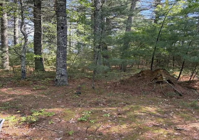 35th image of 35 Silva St, Carver, MA 02330 | MLS# 73558317
