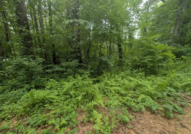 Homes for sale in Charlton, MA | Lot C Baker Pond Rd, Charlton, MA 01507 | MLS# 73538463