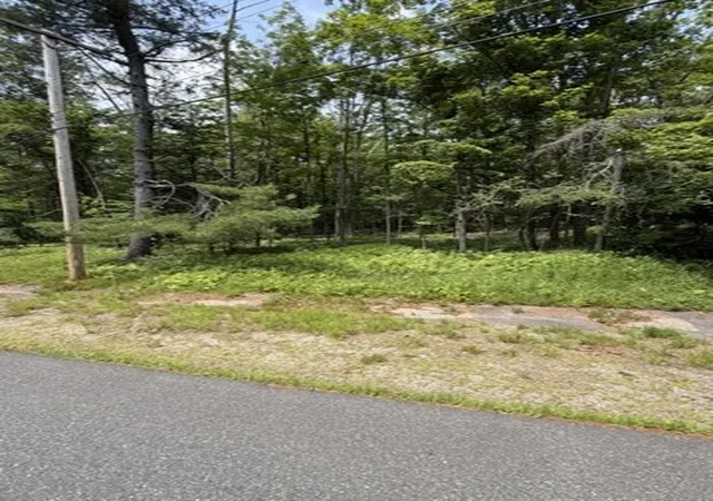 16th image of 00 Cyrus Stage Rd, Rowe, MA 01367 | MLS# 73554511