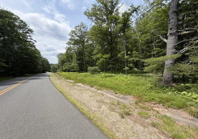1st image of 00 Cyrus Stage Rd, Rowe, MA 01367 | MLS# 73554511