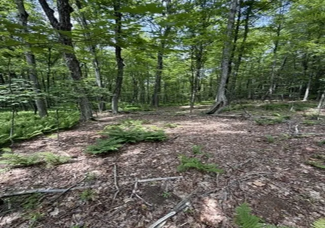 3rd image of 00 Cyrus Stage Rd, Rowe, MA 01367 | MLS# 73554511