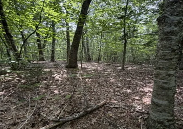 4th image of 00 Cyrus Stage Rd, Rowe, MA 01367 | MLS# 73554511