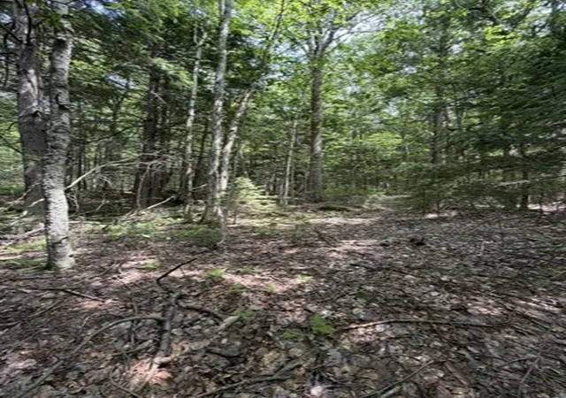 5th image of 00 Cyrus Stage Rd, Rowe, MA 01367 | MLS# 73554511
