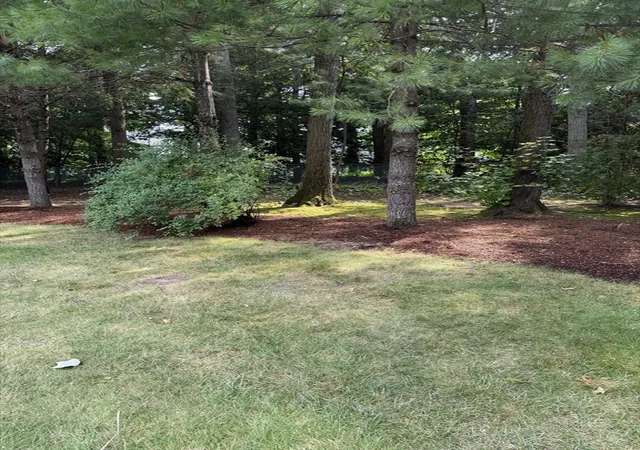 33rd image of 29 W Colonial Rd, Wilbraham, MA 01095 | MLS# 73556117