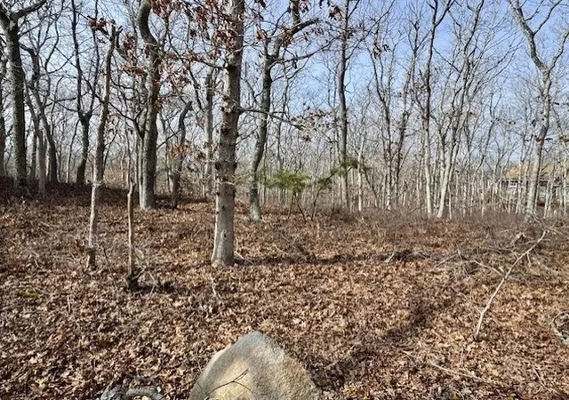 3rd image of 87 Whalers Walk, Edgartown, MA 02539 | MLS# 73493894