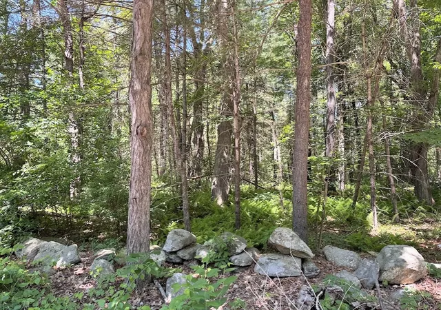 1st image of 19 Whitney, Berlin, MA 01503 | MLS# 73534384