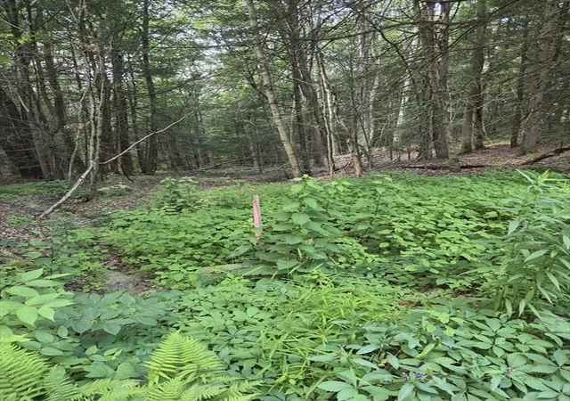 Photo 2 of Land for sale at Lot 1 Sampson Rd, Huntington, MA 01050 | MLS# 73563664 | Listing updated on 2026-08-18
