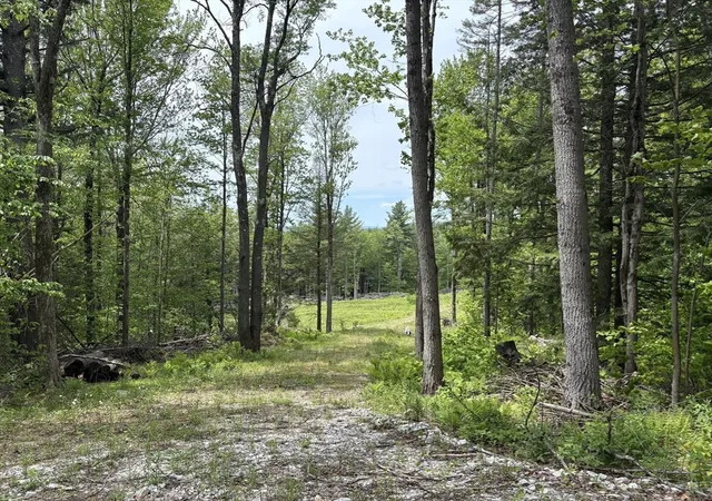 Homes for sale in Plainfield, MA | 0 West St, Plainfield, MA 01026 | MLS# 73531312