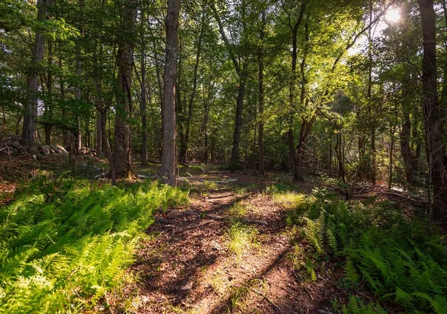 Photo 2 of Land for sale at 0 Belcher St, Essex, MA 01929 | MLS# 73545720 | Listing updated on 2026-07-18