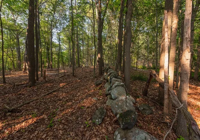 Photo 4 of Land for sale at 0 Belcher St, Essex, MA 01929 | MLS# 73545720 | Listing updated on 2026-07-18