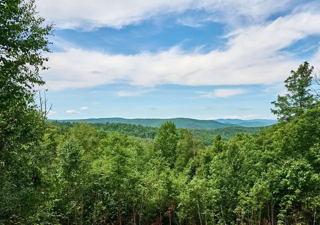 Homes for sale in Hawley, MA | 153 E Hawley Road, Hawley, MA 01339 | MLS# 73401412