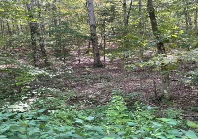 Photo 3 of Land for sale at 41 Western Hills, Broken Bow, OK 74728 | MLS# 1053947 | Listing updated on 2026-04-03