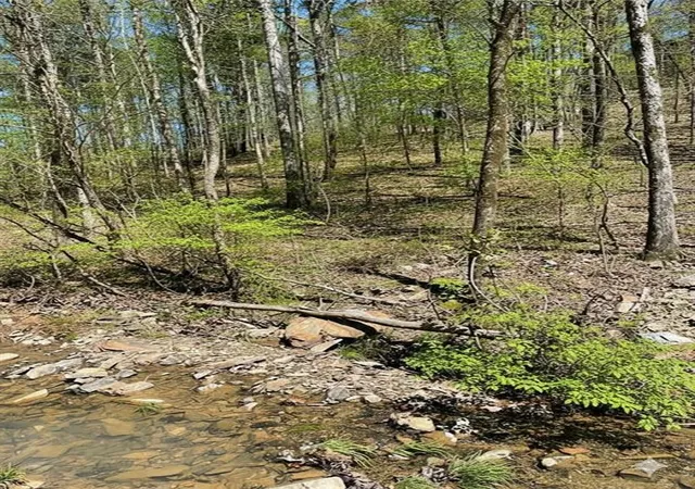 Photo 1 of Land for sale at 41 Western Hills, Broken Bow, OK 74728 | MLS# 1053947 | Listing updated on 2026-04-03