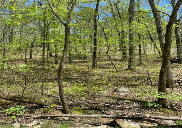 Photo 2 of Land for sale at 41 Western Hills, Broken Bow, OK 74728 | MLS# 1053947 | Listing updated on 2026-04-03