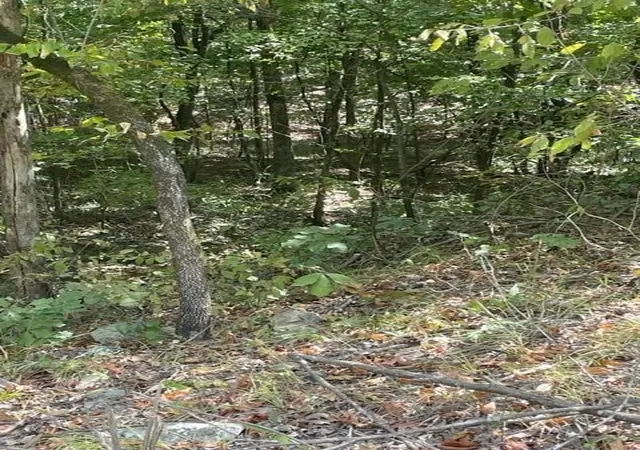Photo 4 of Land for sale at 41 Western Hills, Broken Bow, OK 74728 | MLS# 1053947 | Listing updated on 2026-04-03