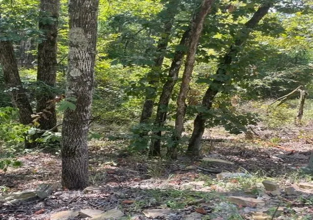 Photo 3 of Land for sale at 59 Western Hills, Broken Bow, OK 74728 | MLS# 1053948 | Listing updated on 2026-10-14