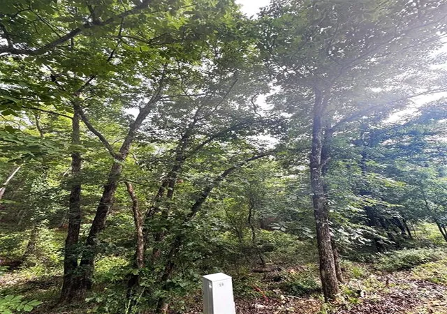 Photo 2 of Land for sale at 59 Western Hills, Broken Bow, OK 74728 | MLS# 1053948 | Listing updated on 2026-10-14