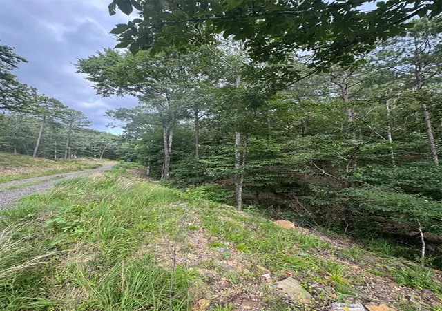 Photo 3 of Land for sale at 59 Western Hills, Broken Bow, OK 74728 | MLS# 1053948 | Listing updated on 2026-10-14