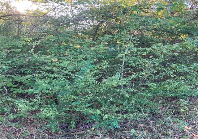 Photo 3 of Sale Pending at 509 Clay St, Broken Bow, OK 74728 | MLS# 1081335 | Listing updated on 2024-03-20