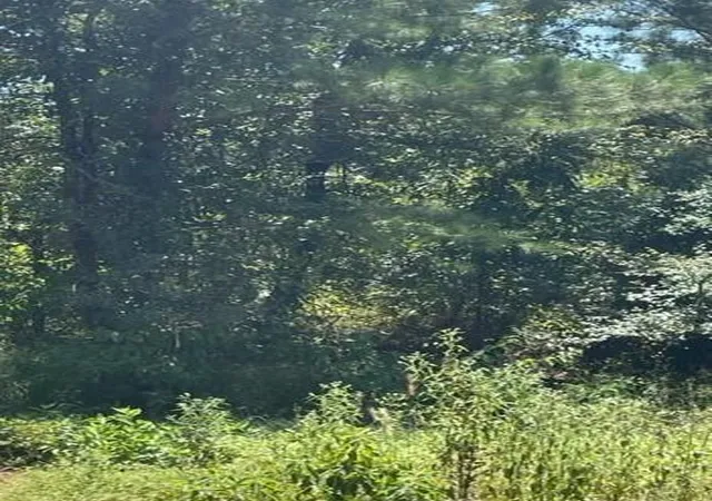 Photo 1 of Land for sale at 214 Top Notch Ln, Broken Bow, OK 74728 | MLS# 1085718 | Listing updated on 2026-08-17