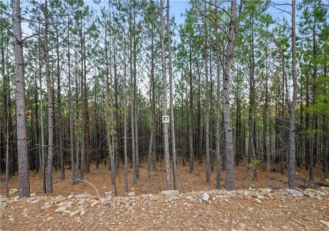 1st image of 87 Monterey Oak Trl, Broken Bow, OK 74728 | MLS# 1086603