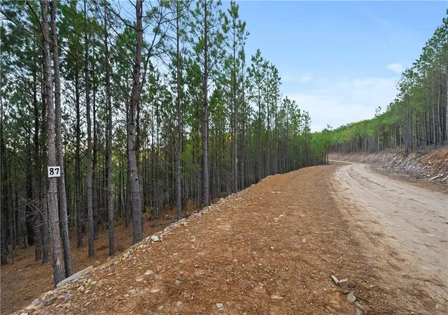 2nd image of 87 Monterey Oak Trl, Broken Bow, OK 74728 | MLS# 1086603