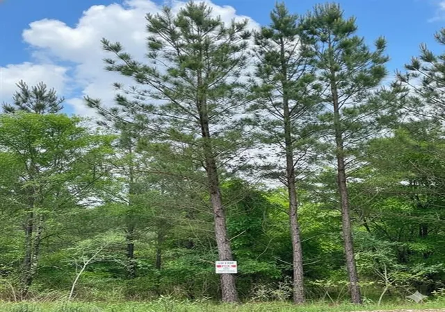 1st image of 660 Timber Creek Trails South Xl, Broken Bow, OK 74728 | MLS# 1096623