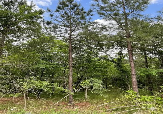 2nd image of 660 Timber Creek Trails South Xl, Broken Bow, OK 74728 | MLS# 1096623