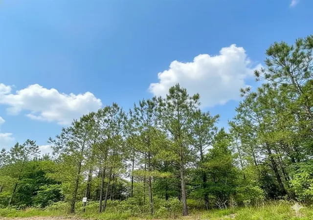 1st image of 670 Timber Creek Trails South Xl, Broken Bow, OK 74728 | MLS# 1096625