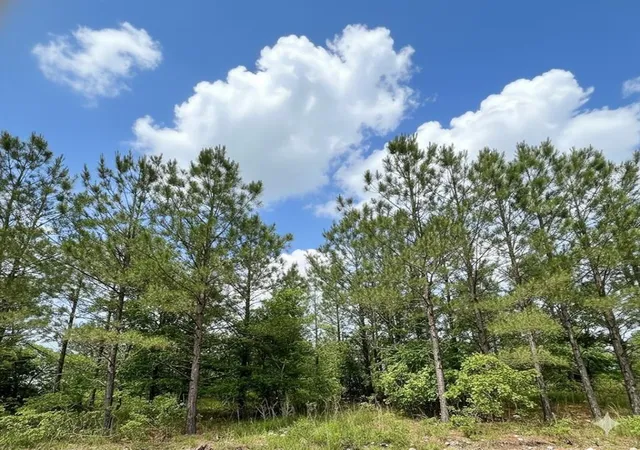 2nd image of 670 Timber Creek Trails South Xl, Broken Bow, OK 74728 | MLS# 1096625