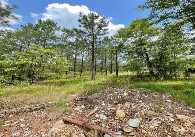 3rd image of 670 Timber Creek Trails South Xl, Broken Bow, OK 74728 | MLS# 1096625