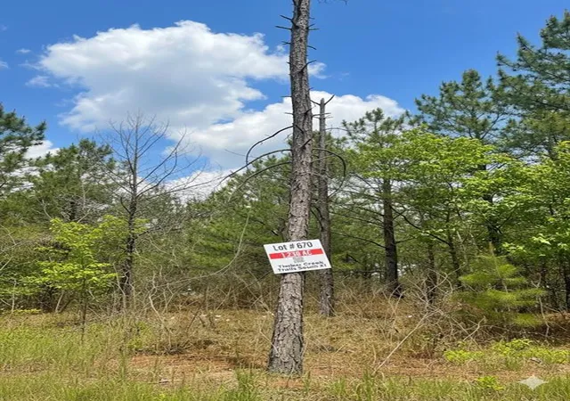 4th image of 670 Timber Creek Trails South Xl, Broken Bow, OK 74728 | MLS# 1096625