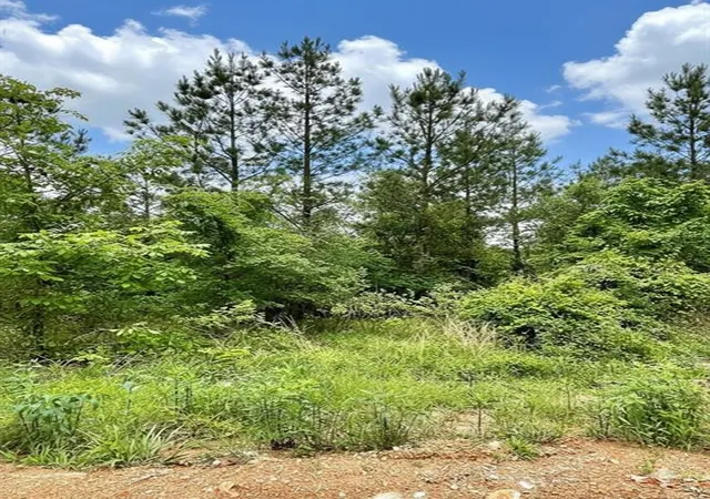 1st image of 658 Timber Creek Trails South Xl, Broken Bow, OK 74728 | MLS# 1096844