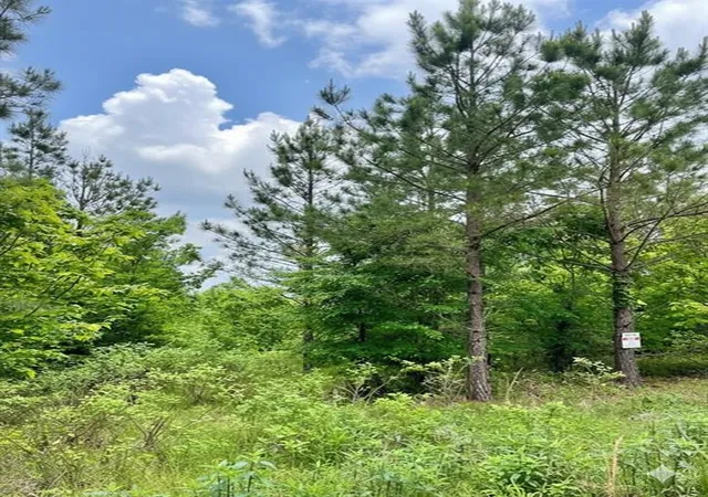 2nd image of 658 Timber Creek Trails South Xl, Broken Bow, OK 74728 | MLS# 1096844