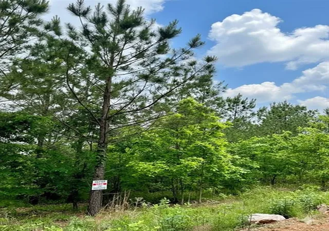 3rd image of 658 Timber Creek Trails South Xl, Broken Bow, OK 74728 | MLS# 1096844