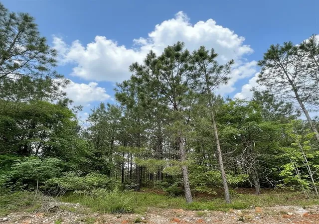 1st image of 671 Timber Creek Trails South Xl, Broken Bow, OK 74728 | MLS# 1096849