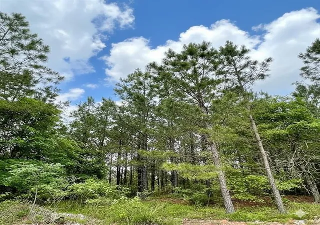 2nd image of 671 Timber Creek Trails South Xl, Broken Bow, OK 74728 | MLS# 1096849