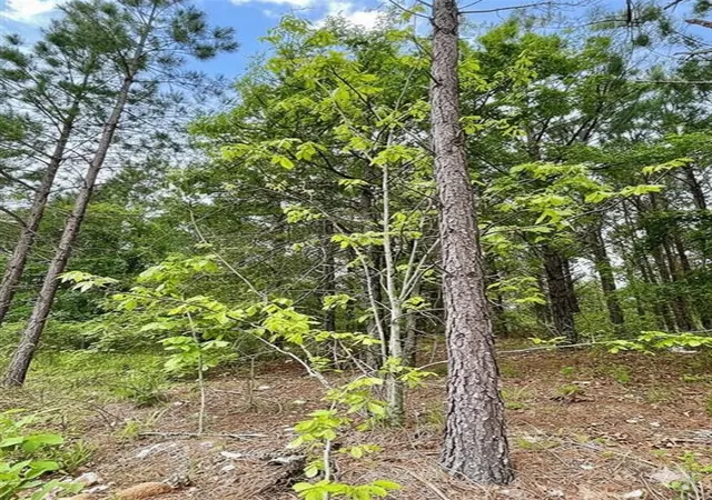 3rd image of 671 Timber Creek Trails South Xl, Broken Bow, OK 74728 | MLS# 1096849