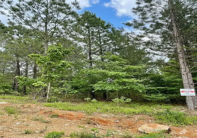 1st image of 657 Timber Creek Trails South Xl, Broken Bow, OK 74728 | MLS# 1096861