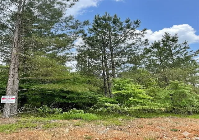 2nd image of 657 Timber Creek Trails South Xl, Broken Bow, OK 74728 | MLS# 1096861