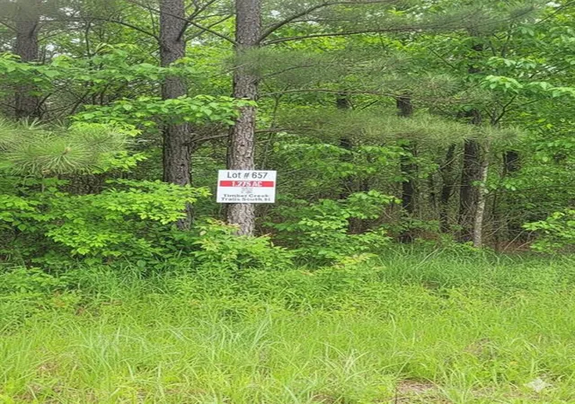 3rd image of 657 Timber Creek Trails South Xl, Broken Bow, OK 74728 | MLS# 1096861