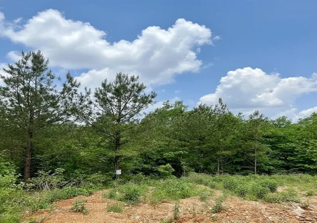 1st image of 656 Timber Creek Trails South Xl, Broken Bow, OK 74728 | MLS# 1096870