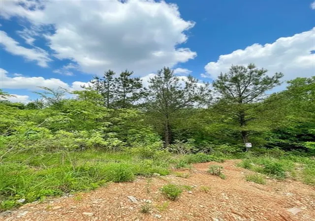 2nd image of 656 Timber Creek Trails South Xl, Broken Bow, OK 74728 | MLS# 1096870